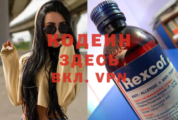 мяу мяу мука Абаза