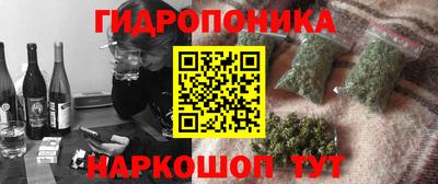 прущие крисы Новокубанск