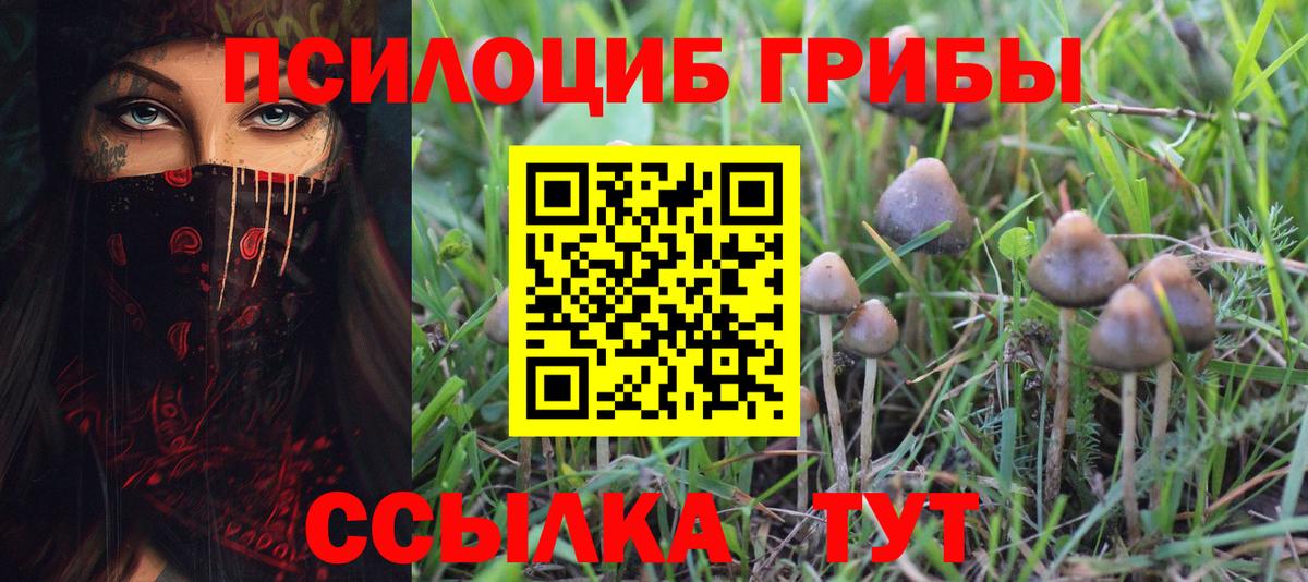 Орск  Псилоцибиновые грибы Psilocybe  Вход с VPN 