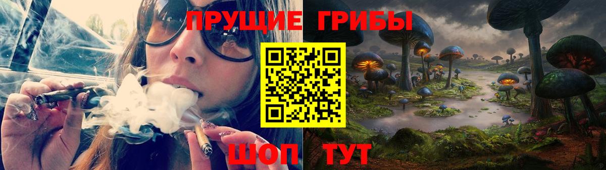 купить наркотик  Вход с VPN  Орск  Псилоцибиновые грибы Psilocybine cubensis 